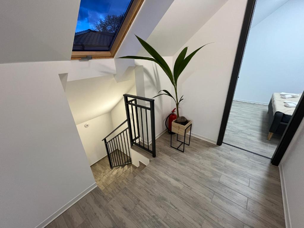 Brothers House fürdőszoba